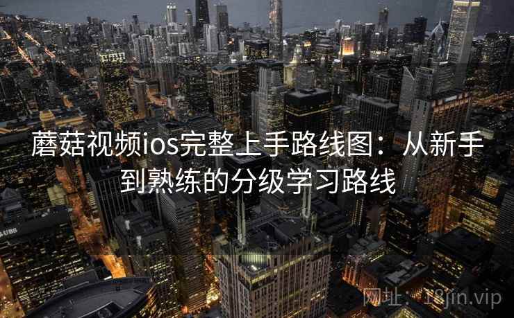 蘑菇视频ios完整上手路线图:从新手到熟练的分级学习路线 蘑菇视频ios完整上手路线图:从新手到熟练的分级学习路线
