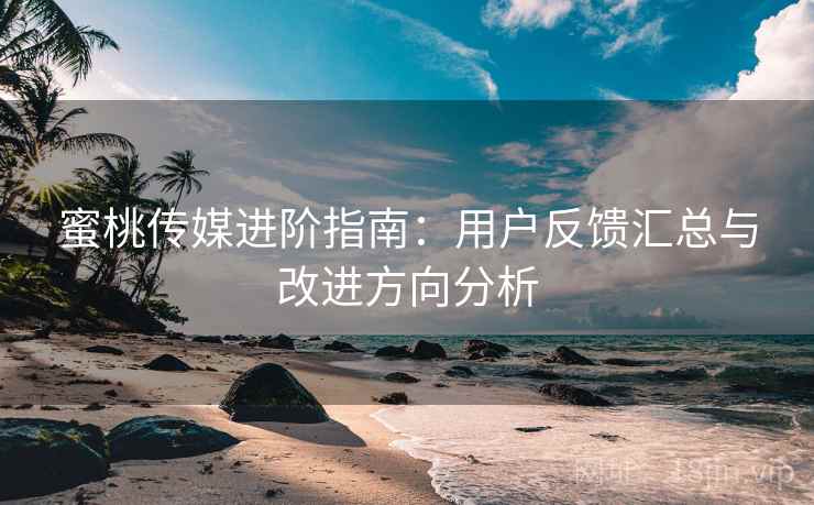 蜜桃传媒进阶指南：用户反馈汇总与改进方向分析