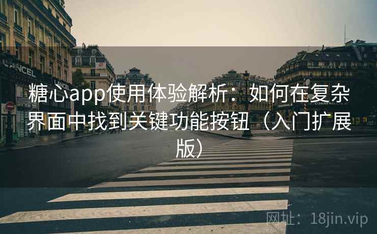 糖心app使用体验解析：如何在复杂界面中找到关键功能按钮（入门扩展版）