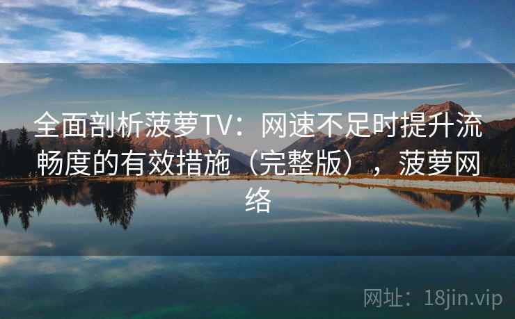 全面剖析菠萝TV：网速不足时提升流畅度的有效措施（完整版），菠萝网络