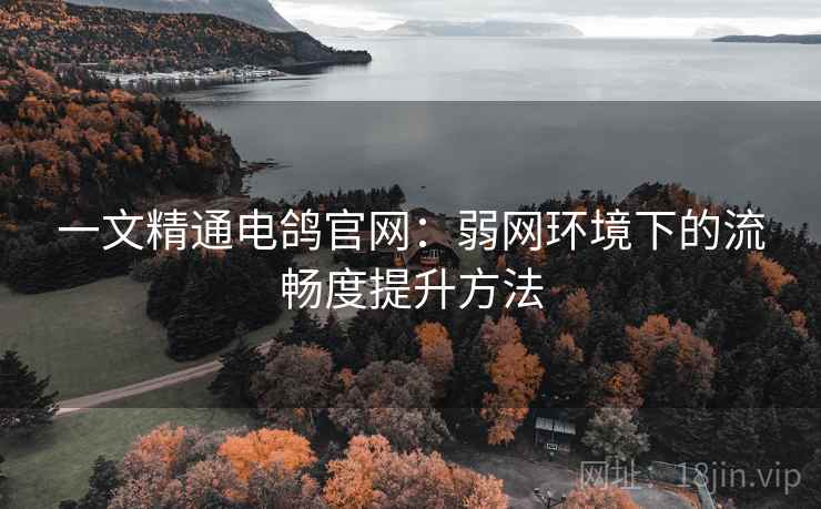 一文精通电鸽官网：弱网环境下的流畅度提升方法