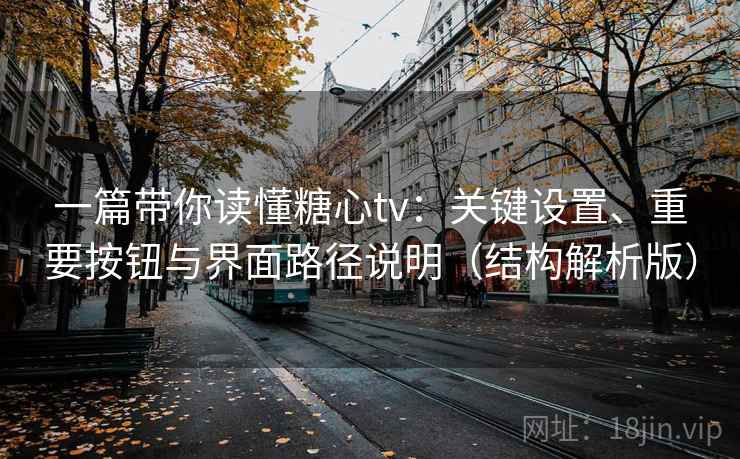一篇带你读懂糖心tv：关键设置、重要按钮与界面路径说明（结构解析版）