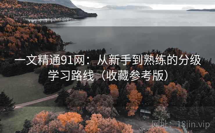 一文精通91网:从新手到熟练的分级学习路线(收藏参考版) 一文精通91网:从新手到熟练的分级学习路线(收藏参考版)