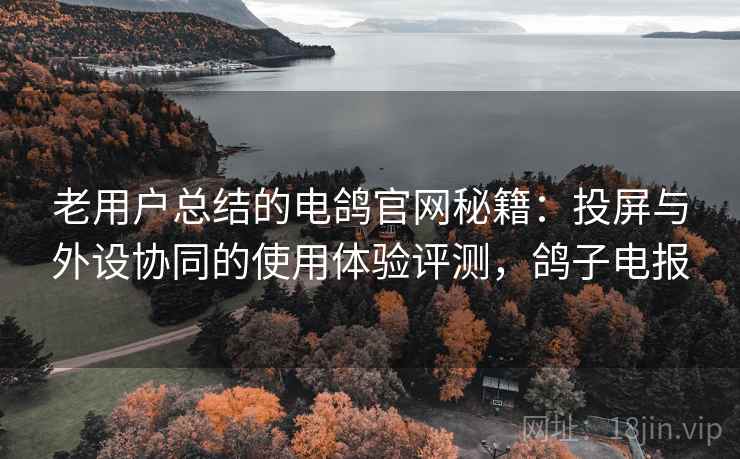 老用户总结的电鸽官网秘籍：投屏与外设协同的使用体验评测，鸽子电报