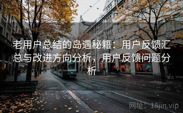 老用户总结的岛遇秘籍：用户反馈汇总与改进方向分析，用户反馈问题分析