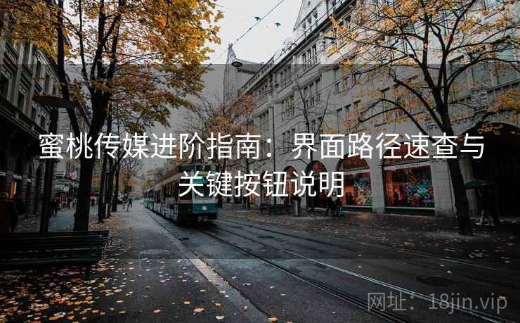 蜜桃传媒进阶指南:界面路径速查与关键按钮说明 蜜桃传媒进阶指南:界面路径速查与关键按钮说明
