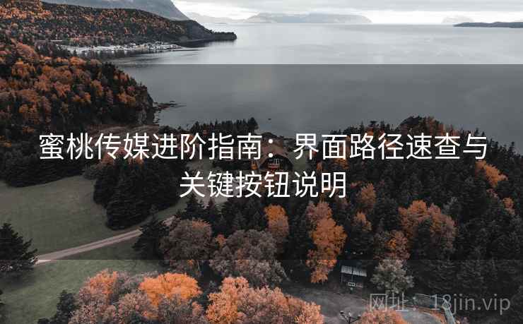蜜桃传媒进阶指南:界面路径速查与关键按钮说明 蜜桃传媒进阶指南:界面路径速查与关键按钮说明