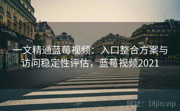 一文精通蓝莓视频：入口整合方案与访问稳定性评估，蓝莓视频2021