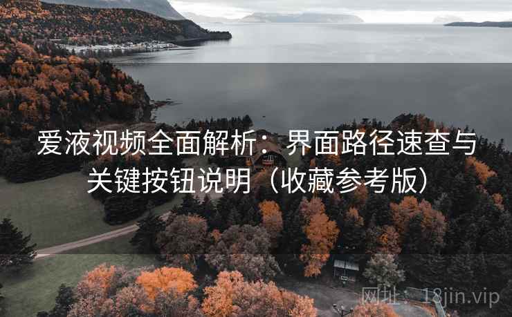 爱液视频全面解析：界面路径速查与关键按钮说明（收藏参考版）