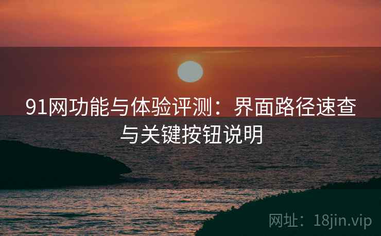 91网功能与体验评测：界面路径速查与关键按钮说明