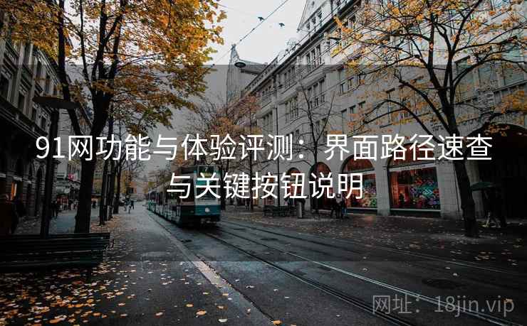 91网功能与体验评测:界面路径速查与关键按钮说明 91网功能与体验评测:界面路径速查与关键按钮说明