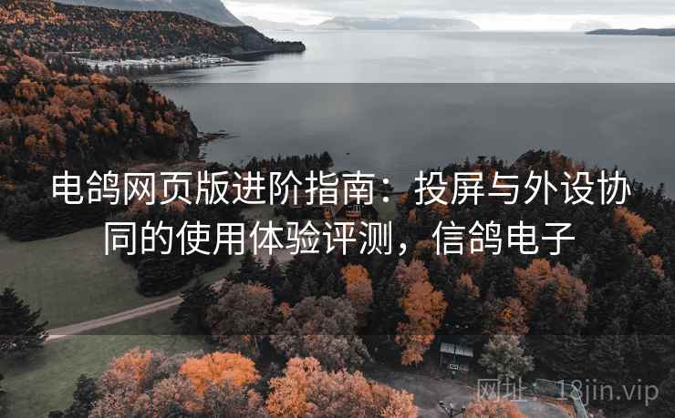 电鸽网页版进阶指南：投屏与外设协同的使用体验评测，信鸽电子