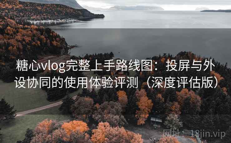 糖心vlog完整上手路线图：投屏与外设协同的使用体验评测（深度评估版）