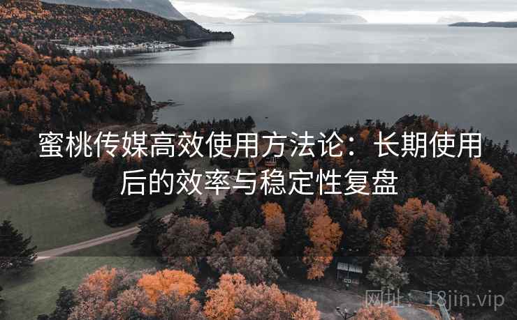 蜜桃传媒高效使用方法论：长期使用后的效率与稳定性复盘